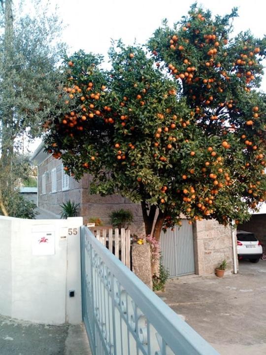 Hébergement de vacances Vivenda Mendes Outeiro (Vila Nova de Famalicao)